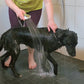 Maisa balsamkaka för hund 207,90 SEK