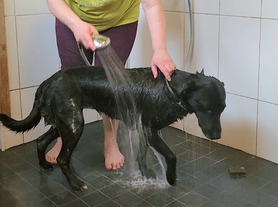 Maisa balsamkaka för hund 207,90 SEK