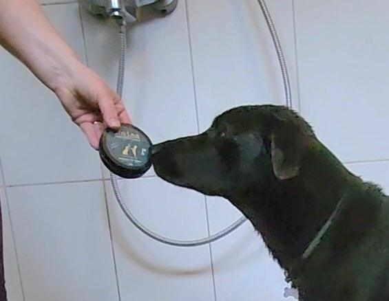 Maisa balsamkaka för hund 207,90 SEK