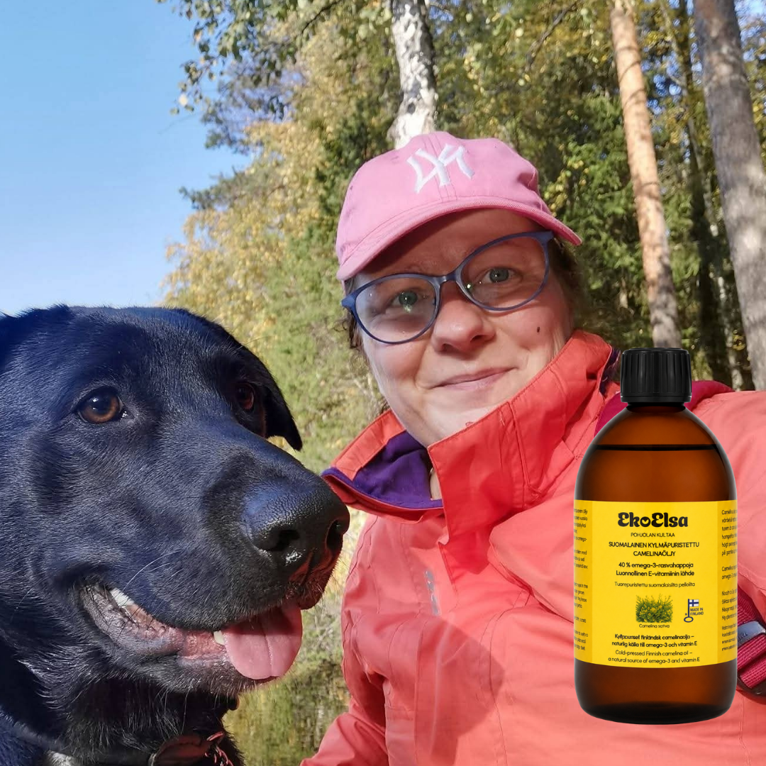 CAMELINAOLJA – Nordens eget superolja 274.90 SEK